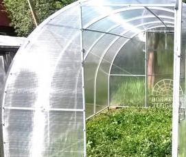 теплица волжская премиум - модель 3