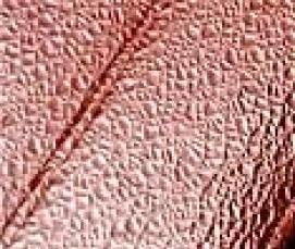 теплица восточная усиленная - модель 4