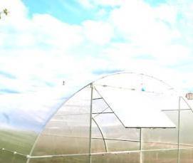 теплицы фермерские и промышленные - тип 2