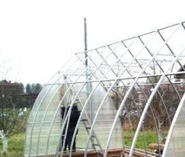 теплицы квадратные прямостенные - модель 1
