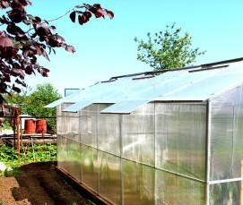 теплицы - тип 4