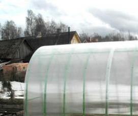 теплицы мини усиленные - вариант 4