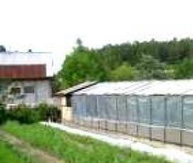 теплицы прозрачные - вариант 1