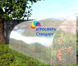 теплицы прозрачные - вариант 4