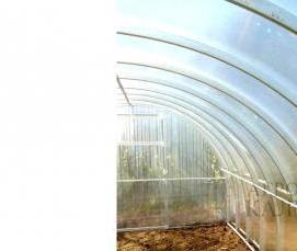 теплицы прозрачные - вариант 3