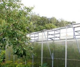 теплицы шестиметровые - вариант 1