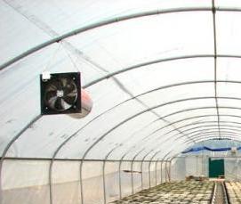 теплицы зимнего варианта - тип 4