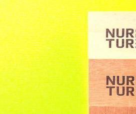 тонкий шпон - модель 1