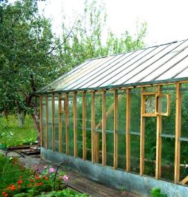 треугольная теплица - модель 1