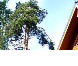 треугольное деревянное окно - модель 2