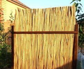 Ђростниковый - тип 4