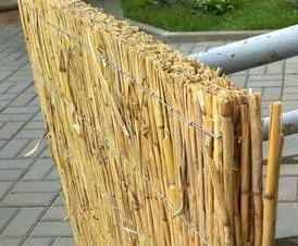 Ђростниковый - тип 2