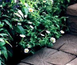 тротуарная плитка 200х200 - тип 1