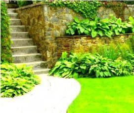 тротуарная плитка для дорожек 50х50 - модель 1