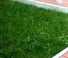 тротуарная плитка в упаковках по 6 штук - тип 3