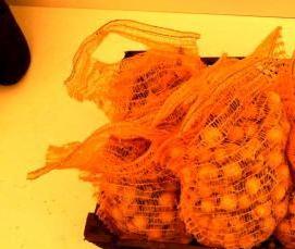 тюменская теплица - модель 1