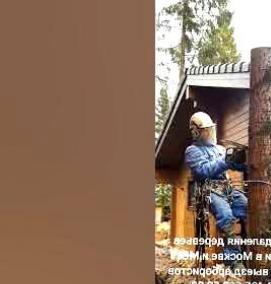 удаление больных деревьев - модель 1