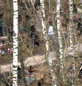 удаление деревьев на кладбищах - тип 2