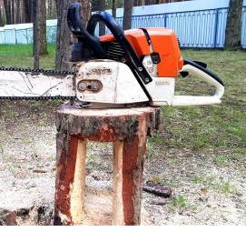 удаление деревьев на участке - вариант 4