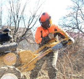 удаление деревьев на участке - вариант 2