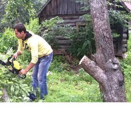 удаление кустарников - вариант 4