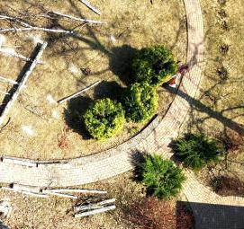 удаление высоких деревьев - вариант 1