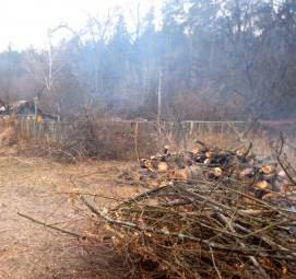 удаление высоких деревьев - вариант 2