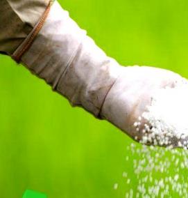 удобрения для саженцев - модель 1