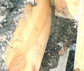 угловая теплица - тип 1