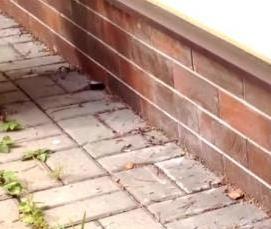 укладка тротуарной плитки на отмостку - вариант 2