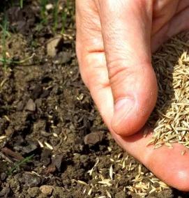 укрывной материал для газона - тип 2