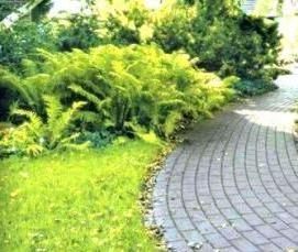 уложить дорожку тротуарной плитки - модель 2