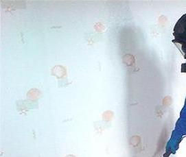 уничтожение клопов дезинсекция - тип 1