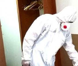 уничтожение клопов дезинсекция - тип 2