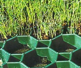 усиленная газонная решетка - тип 1