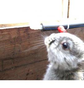 установка ниппельных поилок для кроликов - тип 4