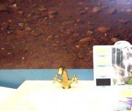 установка раковин в детских садах - модель 2