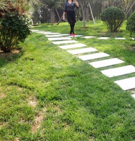 устройство бетонных дорожек - тип 2