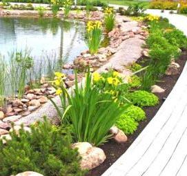 устройство декоративных водоемов - модель 3