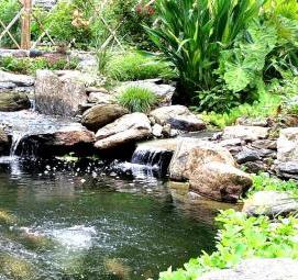 устройство водоема на участке - вариант 2