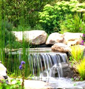 устройство водоемов - тип 2