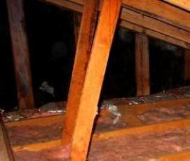 утеплитель между брусом - модель 2