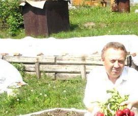 узкие и высокие теплицы - тип 1