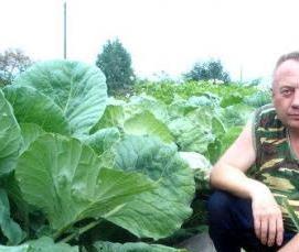 узкие и высокие теплицы - тип 4