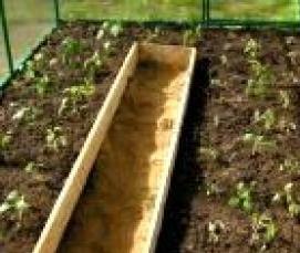 узкие и высокие теплицы - тип 3