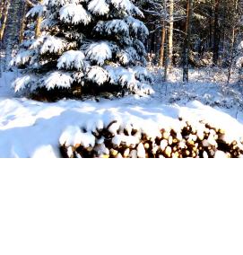 Вагонка осиновая - модель 1