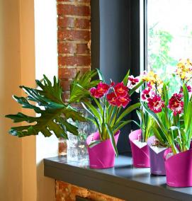 Вазон для орхидей - модель 3