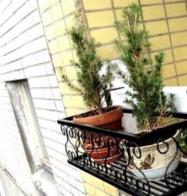 Вазон на подоконник - вариант 1