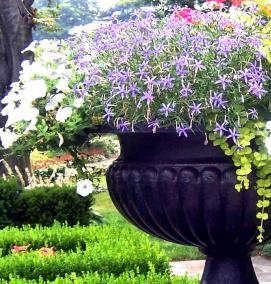 Вазон на подоконник - вариант 3