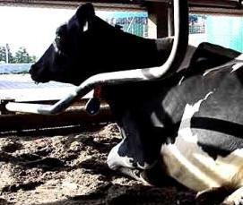 Вентиляция обычная - тип 2